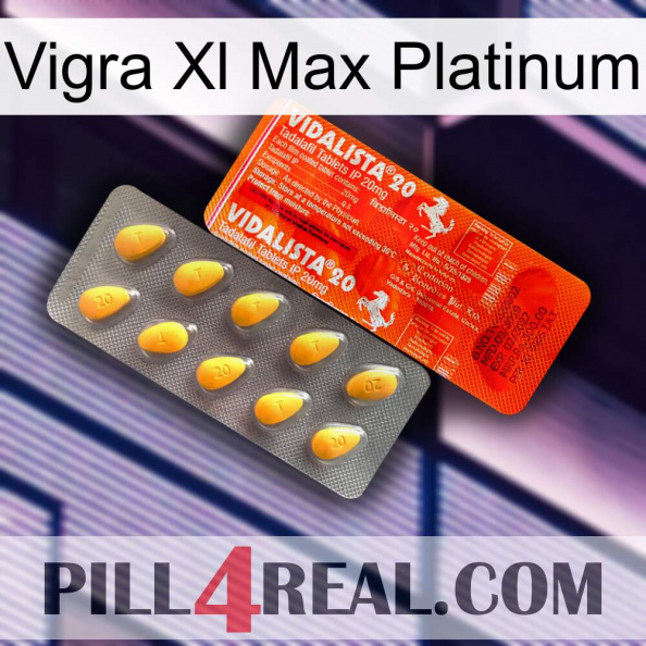 Vigra Xl Max Platinum new01.jpg